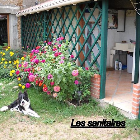 Ferme Equestre Les Chevaliers Hotel Penol Ngoại thất bức ảnh