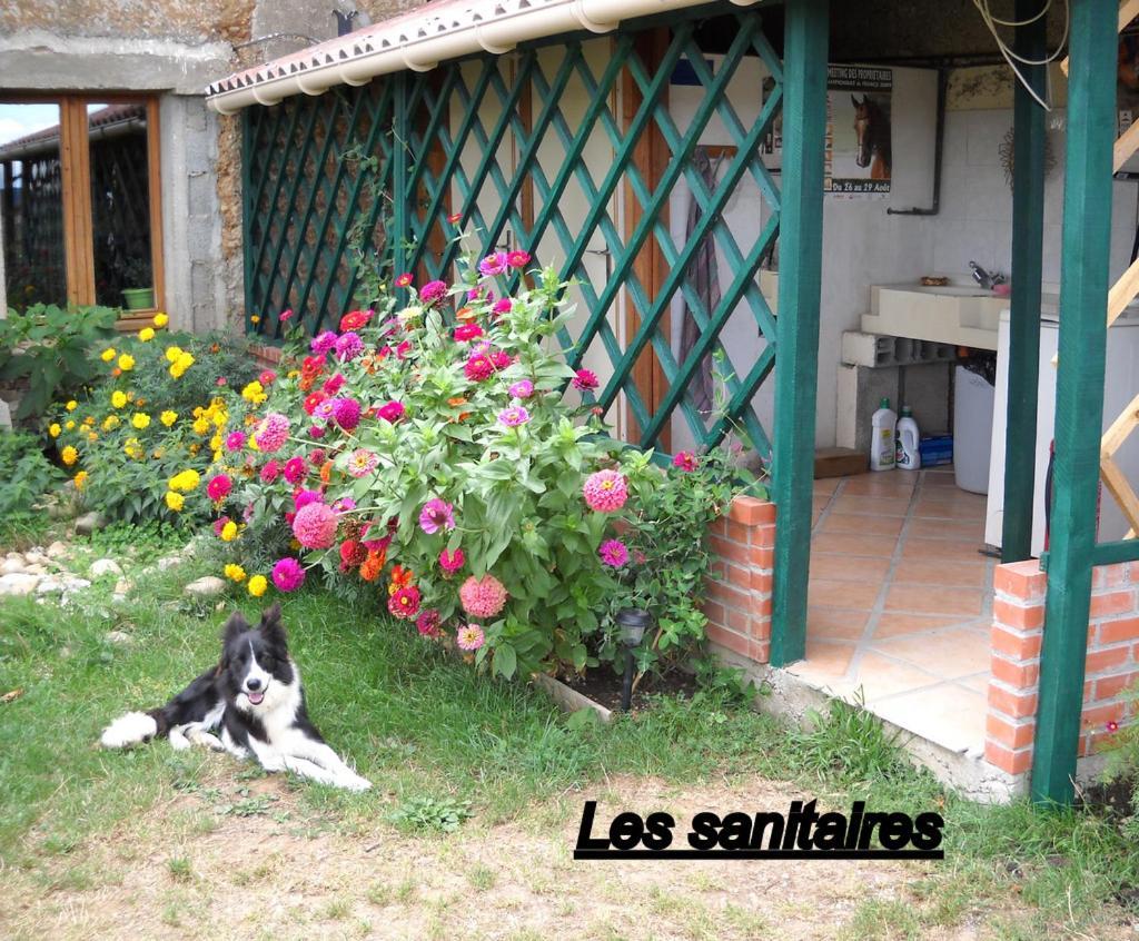Ferme Equestre Les Chevaliers Hotel Penol Ngoại thất bức ảnh
