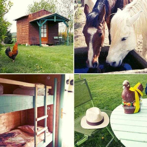 Ferme Equestre Les Chevaliers Hotel Penol Ngoại thất bức ảnh