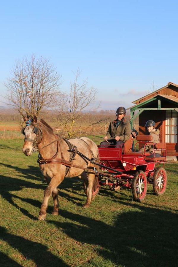 Ferme Equestre Les Chevaliers Hotel Penol Ngoại thất bức ảnh
